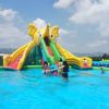 Factory Customized Popular Elephant Mobile Inflatable Water Park Slide for Adult Kids