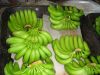 Fresh Cavendish Banana