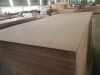 Container roof panel/ ...