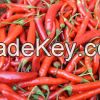 Red Chili