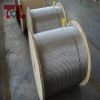 supplier of 300 series stainless stee wire rope