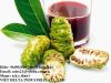 BEST PRICE & QUALITY OF NONI JUICE, DRIED NONI FROM VIET NAM \\ Ms.Hebe +84 902 800 740