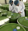 Bulk Acacia honey in drum