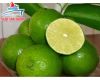 VIETNAMESE SEEDLESS LIME