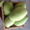 FRESH CATCHU MANGOS VIETNAM