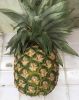 FRESH PINEAPPLE