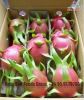 FRESH DRAGON FRUIT