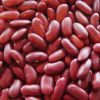 best quality red kidney and sugar beans grains