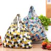 Fashion Vegetable Frui...