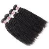 Lolly Unprocessed Kinky Curly Human Hair Weaves 4 Bundles with 13*4 Lace Frontal Closure