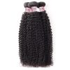 Lolly 100% Brazilian Virgin Kinky Curly Hair Extensions Bundles with Lace Closure 