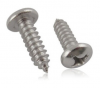 Stainless steel screw and nut