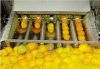 Factory Price Mango/Pineapple/Orange/Citrus Juice /Fruit Juice Production Line