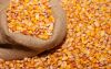 GRAIN