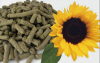 High Quality SUNFLOWER MEAL