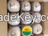 Fresh young Coconut