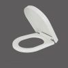 Plastic injection toilet seat lid mould,plastic toilet seat cover molds