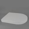 Plastic injection toilet seat lid mould,plastic toilet seat cover molds