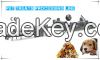 2018 USA Automatic Continuous Crispy Dental Care New Stainless Steel Large Capacity Pet Treats Processing Line