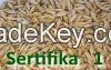 barley