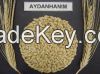 barley