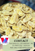 BANANA CHIPS - 100% NATURAL FRUIT - CRISP BANANA CHIPS - HIGH QUALITY - GOOD PRICE FROM VIETNAM