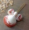 Supplier large quantity with cheap price scallop seashells