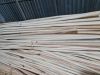 RAW RATTAN BEST PRICE FROM VIETNAM