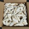 Dried Cuttlefish Bone Made In Vietnam High Quality Supplier 100% Natural Wholesale Seafood