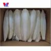 Pet Toys Cuttlebone for Bird pet food pet treats Cuttlefish bone