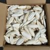 Natural Dried Cuttlefish Bone Parrot Food Pet Treats Vietnam High Quality and Competitive Price