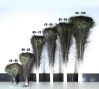 Wholesale 25 to 100 Cm Natural Peacock Feathers With Competitive Price/Real Peacock Feathers For Crafts &amp; Home Decoration