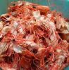 Offer Dried Shrimp Shell/Shrimp Head at Affordable Prices and Excellent Quality from Vietnam