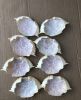 Best Seller Natural Materials Crab Shell with low Price best quality in Viet Nam