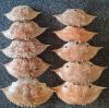 Best Seller Natural Materials Crab Shell with low Price best quality in Viet Nam