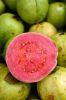 HOT DEAL for you! WHITE AND PINK GUAVA from VIETNAM 