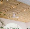 CEILINGS CEILING premi...