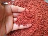 The Best Spice Vietnamese Annatto Seed/ Roucou Achiote Seeds from Vietnam