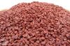 The Best Spice Vietnamese Annatto Seed/ Roucou Achiote Seeds from Vietnam