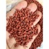 The Best Spice Vietnamese Annatto Seed/ Roucou Achiote Seeds from Vietnam