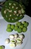 FROZEN LOTUS SEEDS from Vietnam - HIGH QUALITY - BEST CHEAP