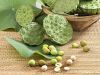 FROZEN LOTUS SEEDS from Vietnam - HIGH QUALITY - BEST CHEAP