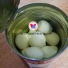 BEST QUAIL EGGS PRODUCT from Vietnam / QUAIL EGGS CANNED grade 1