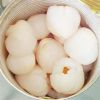 CANNED LONGAN MADE IN VIETNAM/ THE BEST CANNED FRUIT FOR YOU