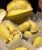 Durian Puree Frozen made in Vietnam // Best product for make ice cream // Vietnam high quality