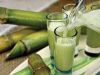 FRESH AND NATURAL FROZEN SUGARCANE JUICE / PREMIUM QUALITY / WHOLESALE PRICE / MADE IN VIETNAM