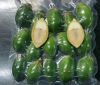 Premium Vietnamese Areca Fruit - Fresh and Authentic for Your Needs