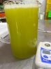 FRESH AND NATURAL FROZEN SUGARCANE JUICE / PREMIUM QUALITY / WHOLESALE PRICE / MADE IN VIETNAM