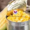 PREMIUM QUALITY VIETNAMESE CANNED CORN IN - DELICIOUSLY FRESH FROM VIETNAM