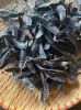 100% NATURAL GLEDITSIA...